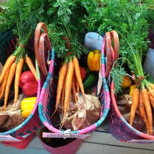 Paniers de légumes bio de saison, locaux & solidaires